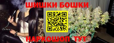 гидра Будённовск