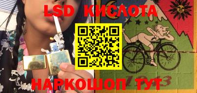 гидра Будённовск