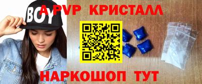 гидра Будённовск