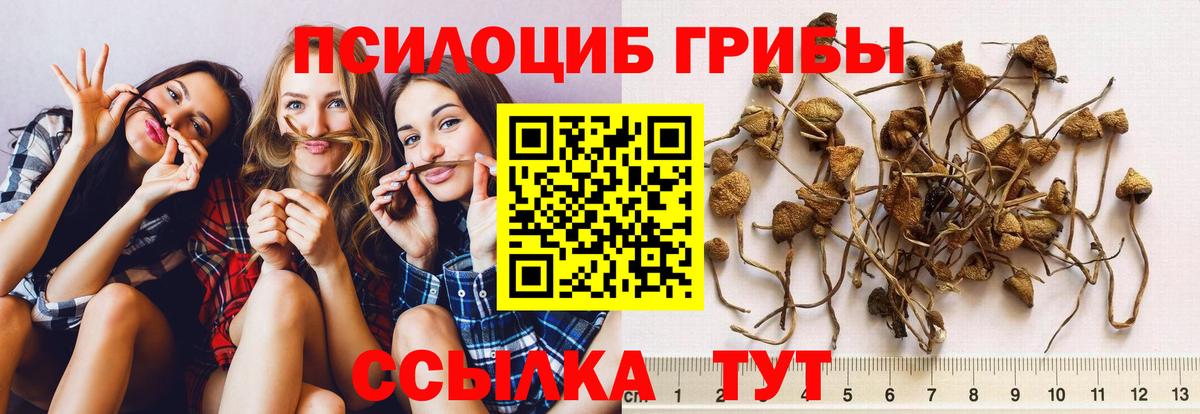  Кокаин Ртищево