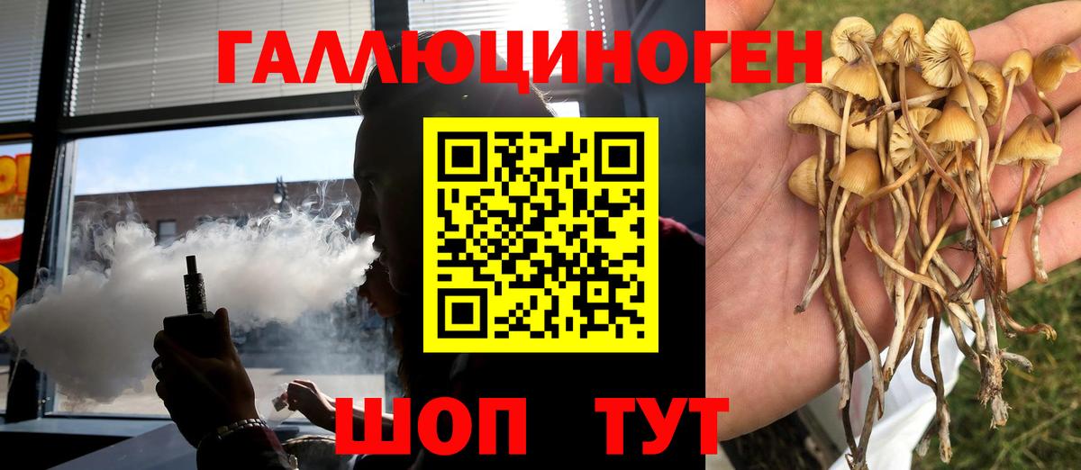 Псилоцибиновые грибы прущие грибы  Вход с VPN  Ртищево 